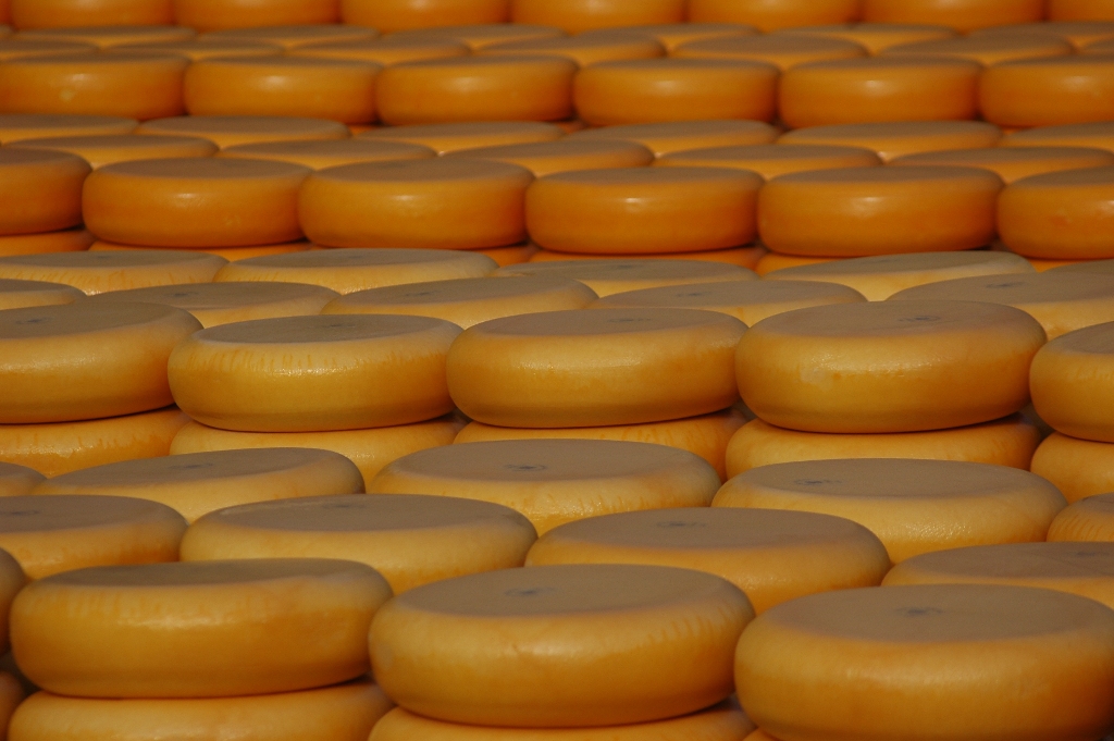 Dairy producers warn of possible bankruptcies in the sector